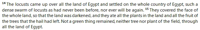 Is there archaeological evidence supporting the existence of Biblical Prophets such as David and Solomon, as well as the Israelite Exodus from Egypt?