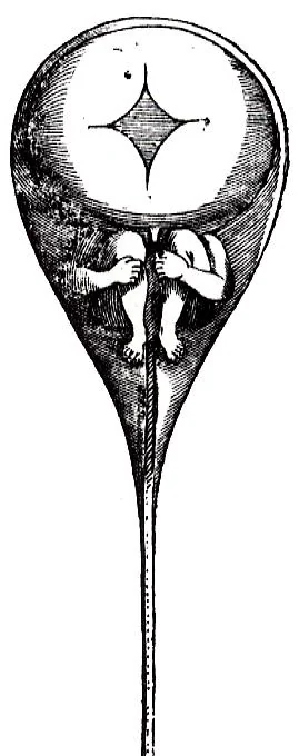 Does the Qurʾān contain a scientific miracle pertaining to human embryonic development?