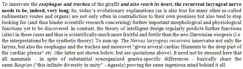 Does the recurrent laryngeal nerve refute intelligent design? Is it evidence that humans evolved from fish?