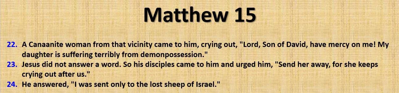 Could the “stone that has become the capstone” in the biblical prophecy refer to Jesus Christ (PBUH)? Why not?