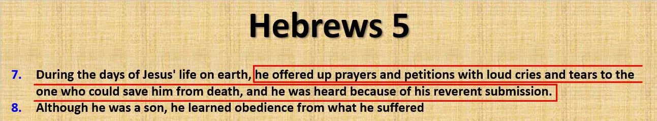 Does the Torah mention the descendants of Kedar and the mission of Prophet Muḥammad (PBUH) in the lands of Kedar?