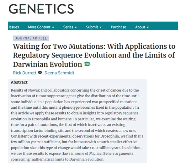 Do the Homo fossils displayed in paleontological and biological museums represent the direct ancestor of modern humans?