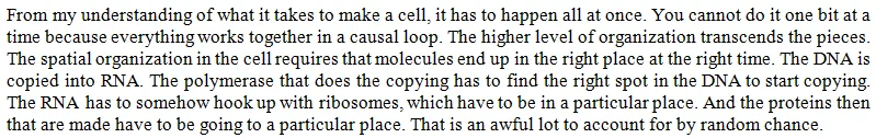 Is the “RNA world” theory—which posits ribonucleic acid as the first biomolecule—correct?