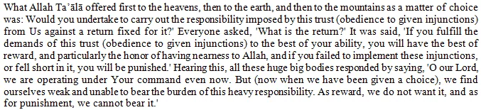 Why is Man mukallaf (divinely assigned/accountable) in the first place?